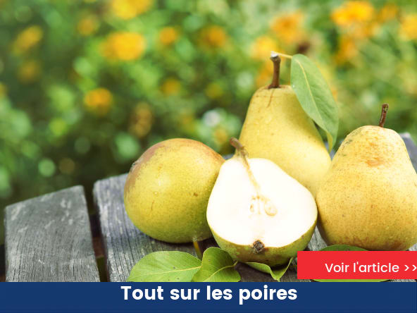 Les poires